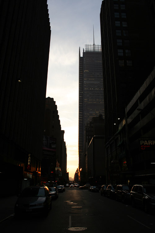 Sunset Silhouette