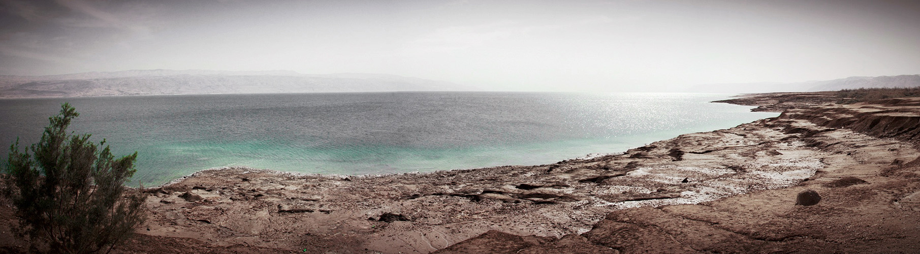 The Dead Sea