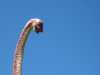 Jurassic Waterdown