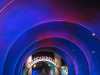 The Time Tunnel