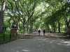 The Mall at Central Park