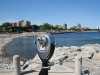 Burlington Harbour