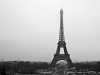 Yeah. That tower.
